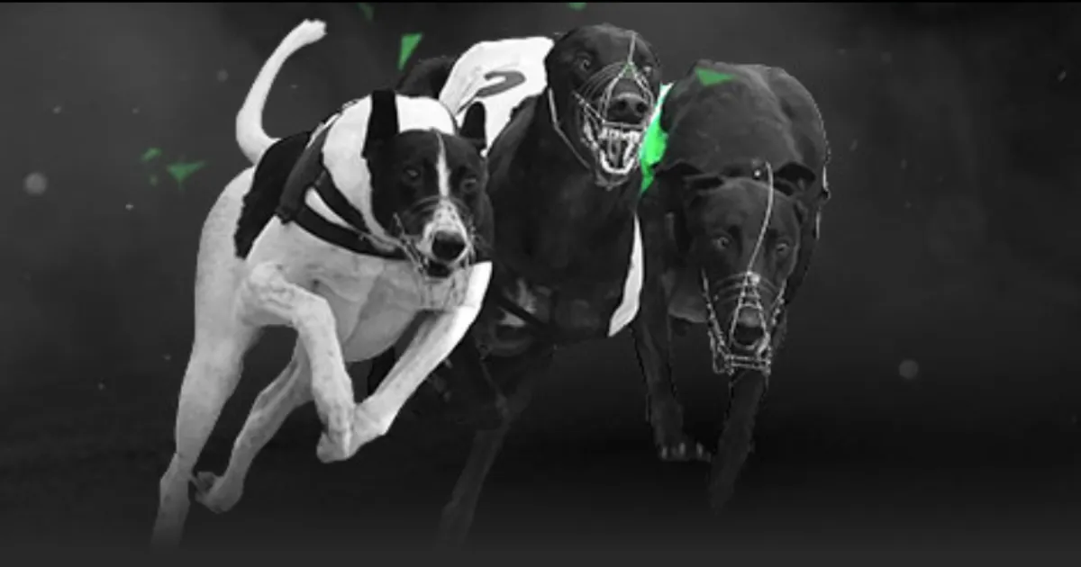 尤文图斯欲,以弗拉霍维,奇交易引进,亚博体育,亚博体育官网,亚博体育app,亚博体育下载