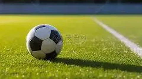 科索沃0-2西班牙世预赛欧洲区第6轮，福纳尔斯首球托雷斯助扩大领先优势